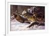 Wolves in Winter-D Van Heerde-Framed Art Print