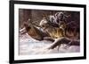 Wolves in Winter-D Van Heerde-Framed Art Print