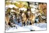 Wolves in Winter-Reiner Bernhardt-Mounted Photographic Print