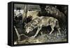 Wolves on the Prowl-null-Framed Stretched Canvas