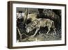 Wolves on the Prowl-null-Framed Giclee Print