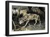 Wolves on the Prowl-null-Framed Giclee Print