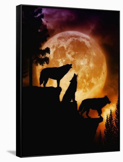 Wolves Peak-Julie Fain-Framed Stretched Canvas