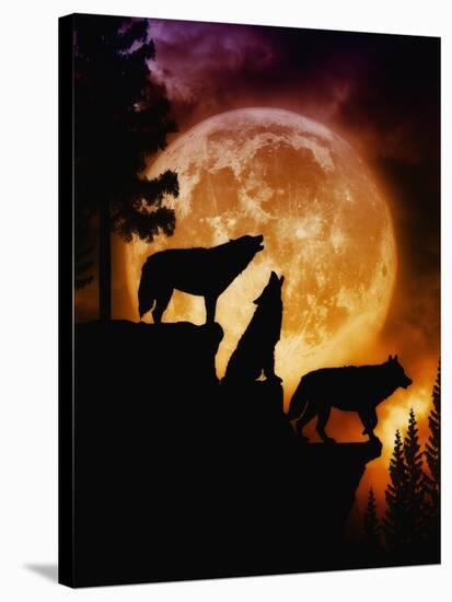 Wolves Peak-Julie Fain-Stretched Canvas
