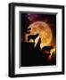 Wolves Peak-Julie Fain-Framed Art Print