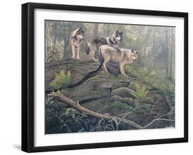 Wolves-Clive Kay-Framed Art Print