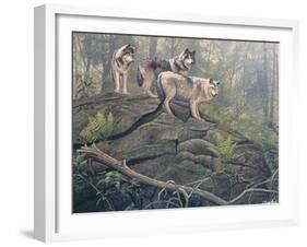 Wolves-Clive Kay-Framed Art Print