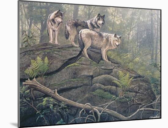 Wolves-Clive Kay-Mounted Art Print