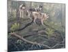 Wolves-Clive Kay-Mounted Art Print