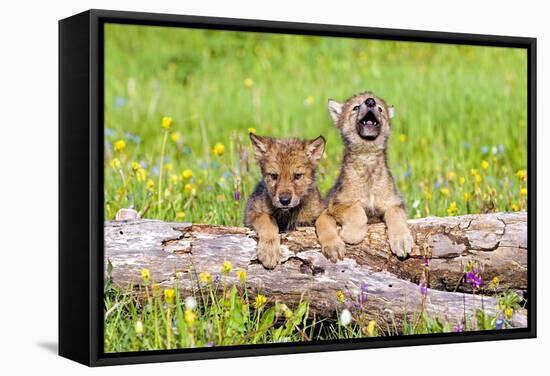 Wolves-null-Framed Stretched Canvas