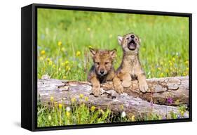 Wolves-null-Framed Stretched Canvas