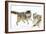 Wolves-null-Framed Photographic Print