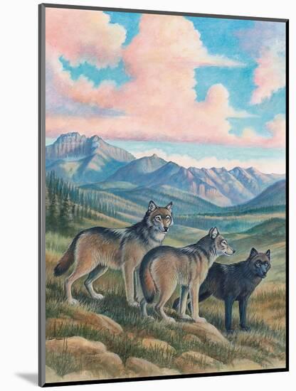 Wolves-Ron Jenkins-Mounted Art Print