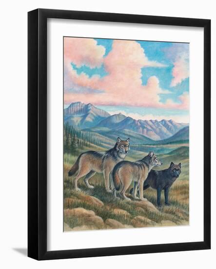 Wolves-Ron Jenkins-Framed Art Print