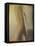 Woman 2 Copy-Mark Van Crombrugge-Framed Stretched Canvas