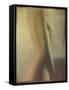 Woman 2 Copy-Mark Van Crombrugge-Framed Stretched Canvas