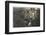 Woman and Four Girls with a Dog in a Garden-null-Framed Photographic Print