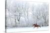 Woman and Her Horse Cantering in Fresh Snow in Christmas Morning-horsemen-Stretched Canvas