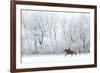 Woman and Her Horse Cantering in Fresh Snow in Christmas Morning-horsemen-Framed Photographic Print