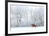 Woman and Her Horse Cantering in Fresh Snow in Christmas Morning-horsemen-Framed Photographic Print