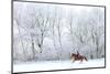 Woman and Her Horse Cantering in Fresh Snow in Christmas Morning-horsemen-Mounted Photographic Print