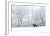 Woman and Her Horse Cantering in Fresh Snow in Christmas Morning-horsemen-Framed Photographic Print