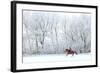 Woman and Her Horse Cantering in Fresh Snow in Christmas Morning-horsemen-Framed Photographic Print