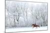 Woman and Her Horse Cantering in Fresh Snow in Christmas Morning-horsemen-Mounted Photographic Print