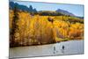 Woman And Man Enjoy Fall Bliss On SUP Boards Near Telluride, Colorado In Autumn, San Juan Mts-Ben Herndon-Mounted Photographic Print