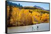 Woman And Man Enjoy Fall Bliss On SUP Boards Near Telluride, Colorado In Autumn, San Juan Mts-Ben Herndon-Framed Stretched Canvas