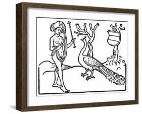 Woman and Peacock, 1475-null-Framed Giclee Print