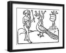 Woman and Peacock, 1475-null-Framed Giclee Print