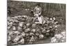 Woman and Pekingese Dog-null-Mounted Photographic Print