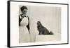Woman and Pekingese Dog-null-Framed Stretched Canvas