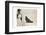 Woman and Pekingese Dog-null-Framed Premium Photographic Print