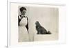 Woman and Pekingese Dog-null-Framed Photographic Print