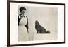 Woman and Pekingese Dog-null-Framed Photographic Print