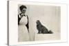 Woman and Pekingese Dog-null-Stretched Canvas