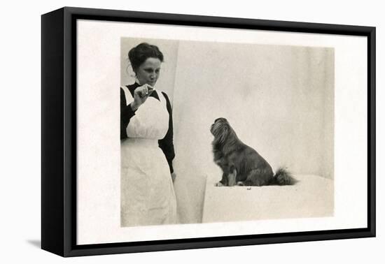 Woman and Pekingese Dog-null-Framed Stretched Canvas