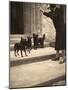 Woman and Three Small Dogs-null-Mounted Photographic Print