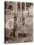 Woman and Young Boy Tap Rubber Trees in Malaya and Collect the Sap in Buckets-null-Stretched Canvas