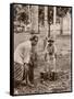 Woman and Young Boy Tap Rubber Trees in Malaya and Collect the Sap in Buckets-null-Framed Stretched Canvas