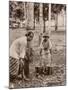 Woman and Young Boy Tap Rubber Trees in Malaya and Collect the Sap in Buckets-null-Mounted Photographic Print