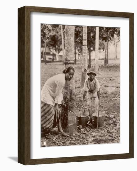 Woman and Young Boy Tap Rubber Trees in Malaya and Collect the Sap in Buckets-null-Framed Photographic Print