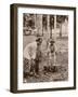 Woman and Young Boy Tap Rubber Trees in Malaya and Collect the Sap in Buckets-null-Framed Photographic Print