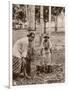 Woman and Young Boy Tap Rubber Trees in Malaya and Collect the Sap in Buckets-null-Framed Photographic Print