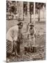 Woman and Young Boy Tap Rubber Trees in Malaya and Collect the Sap in Buckets-null-Mounted Photographic Print