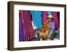 Woman at Ben Guerdane border market, Tunisia-Godong-Framed Photographic Print