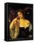 Woman at Her Toilet-Titian (Tiziano Vecelli)-Framed Stretched Canvas