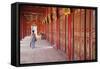 Woman at Imperial Palace in Citadel, Hue, Thua Thien-Hue, Vietnam, Indochina, Southeast Asia, Asia-Ian Trower-Framed Stretched Canvas